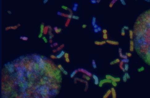 生物化学发光检测试剂