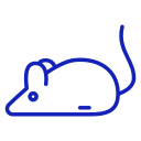 小动物活体成像