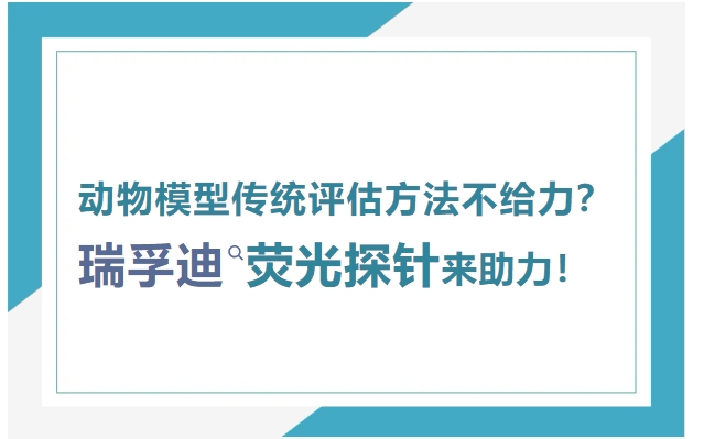 动物模型传统评估方法不给力？Revvity荧光探针来助力！