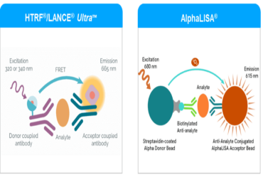 GPCR药物筛选四大核心技术：从初筛到功能验证的全流程方法学比较